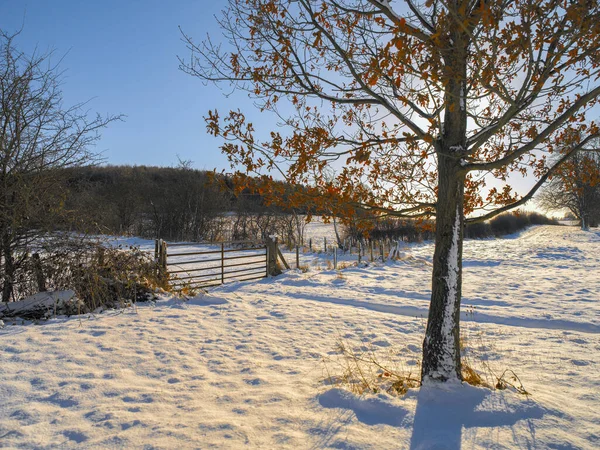 Tiempo Invierno Campo Yorkshire Del Norte Reino Unido — Foto de Stock