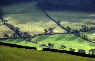 İngiltere 'nin kuzeydoğusundaki Yorkshire Dales' de tarım arazisi.