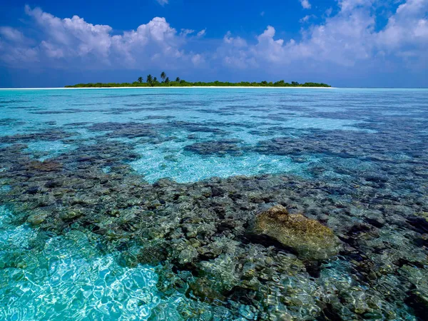 Coral Reef Tropical Lagoon South Ari Atoll Maldives Indian Ocean — Stock Photo, Image