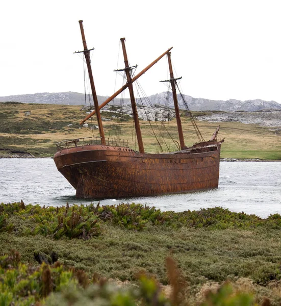 Wreck Lady Elizabeth Whalebone Cove Cerca Stanley Las Islas Malvinas —  Fotos de Stock