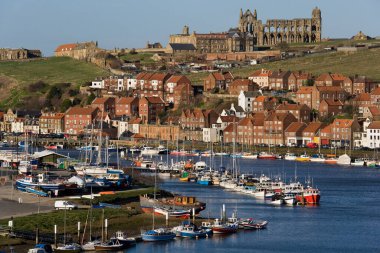 Whitby Abbey harabeleri kasabanın üzerinde ve Whitby limanı İngiltere 'nin kuzeydoğusunda Kuzey Yorkshire Sahili' nde. 