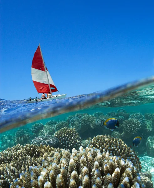 Sailing Boat Reef Tropical Lagoon Maldives — Stock Photo, Image