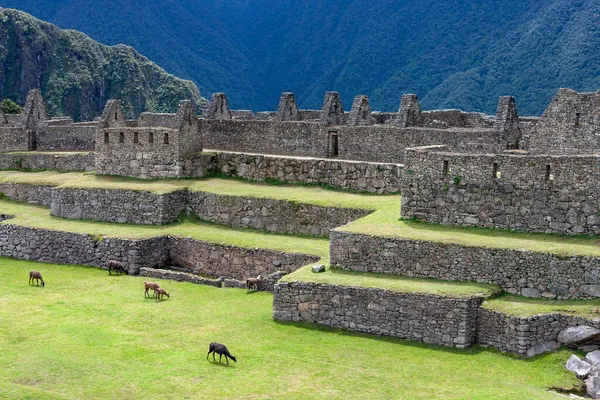 Kota Inka Machu Picchu Peru Meskipun Dikenal Secara Lokal Itu — Stok Foto