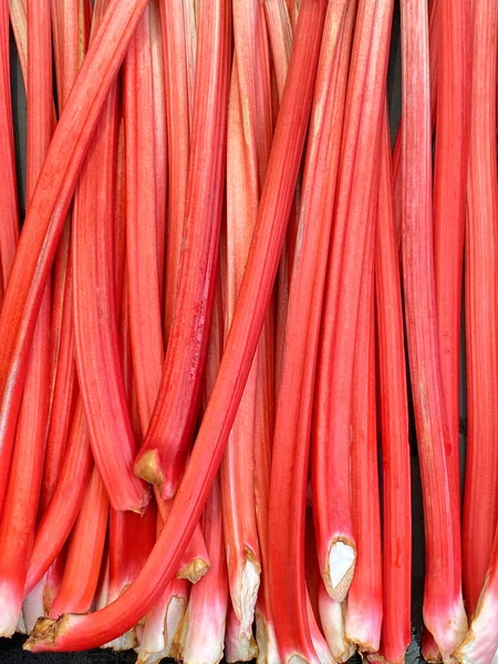Βρώσιμα Στελέχη Petioles Του Rhubarb Και Ραβέντι Είναι Λαχανικό Συχνά — Φωτογραφία Αρχείου