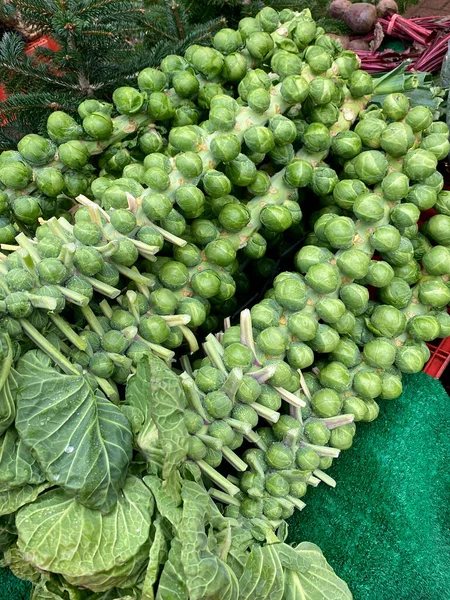 Spruitjes Wijnstok Een Marktkraam Noord Engeland Brassica Oleracea — Stockfoto