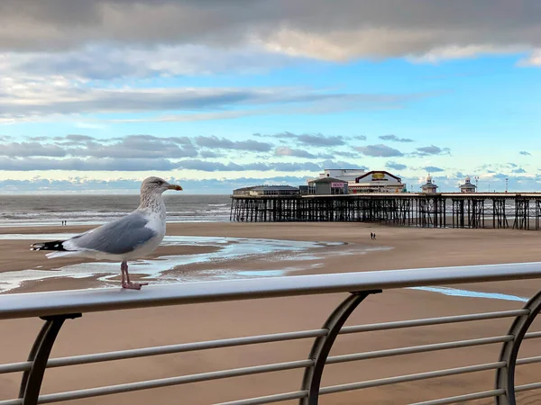 Sahil Kuzey Skelesi Ngiltere Nin Kuzeybatı Kıyısındaki Lancashire Ilçesindeki Blackpool — Stok fotoğraf