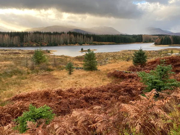 Loch Laggan Cairngorm Mountains Highlands Scotland — Stock fotografie