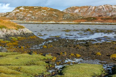 İskoçya 'nın kuzeybatı kıyısındaki Laxford Gölü' nün güney kıyısında, Badnabay 'da gelgit alçak..