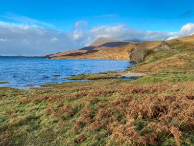 Kuzeybatı İskoçya 'daki Loch Assynt Gölü. 
