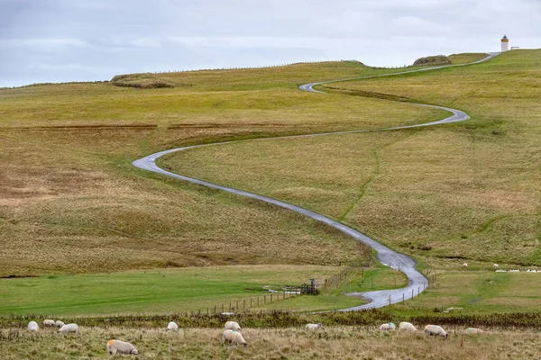 Дорога Замку Дункансбі Англ Duncansby Head Lighthouse Найбільш Північно Східна — стокове фото