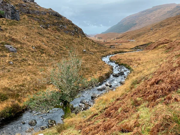 Glen Shieldaig Sul Loch Shieldaig Noroeste Das Terras Altas Escócia — Fotografia de Stock