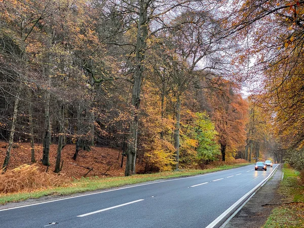 秋天在苏格兰莫雷的Elgin附近穿过金林的路 — 图库照片