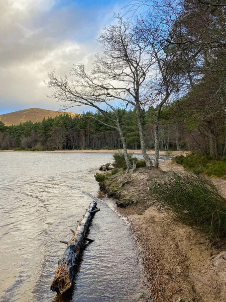 Loch Morlich Près Aviemore Dans Les Monts Cairngorm Dans Les — Photo