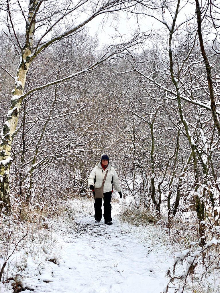 Winter weather - walking along a snow covered path through woodland near Keswick in the Lake District, northwest England.