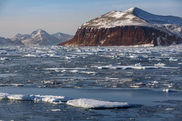 Davy Sound Vid Kusten Nordöstra Grönland — Stockfoto
