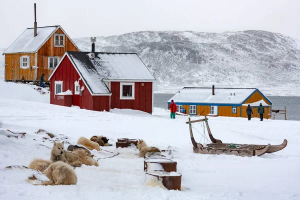 Ittoqqortoormiitの町 ポップ 551 グリーンランド北東部のスコレスビンドへの入り口 — ストック写真