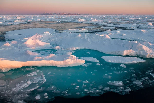 Grönland Kuzeydoğu Kıyısındaki Kuzey Atlantik Okyanusu Ndaki Deniz Buzunda Şafak — Stok fotoğraf