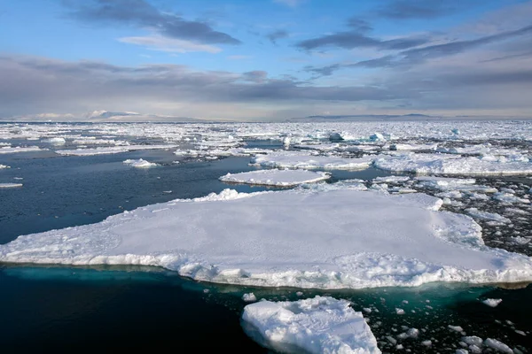 Hielo Marino Océano Atlántico Norte Frente Costa Noreste Groenlandia —  Fotos de Stock