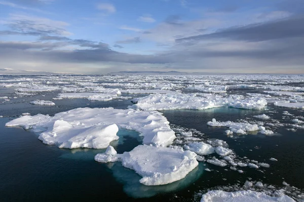 グリーンランド北東海岸沖の北大西洋の海氷 — ストック写真