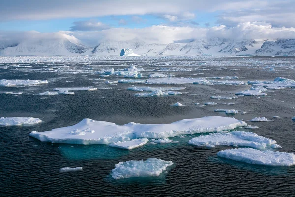 Hielo Marino Océano Atlántico Norte Frente Costa Noreste Groenlandia —  Fotos de Stock