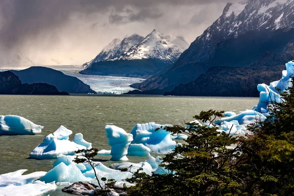 パタゴニア チリ南部 南米のトーレス ペイン国立公園のラルゴ グレイに浮かぶ灰色の氷河からの氷山 — ストック写真