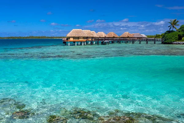 Bungalows Sobre Agua Resort Lujo Isla Tropical Mahini Polinesia Francesa — Foto de Stock