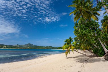 Tropical beach on one of the islands of the Yasawa Islands in Fiji, South Pacific. clipart