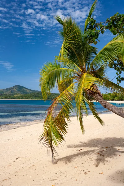 Tropikalna Plaża Jednej Wysp Wysp Yasawa Fidżi Południowy Pacyfik — Zdjęcie stockowe