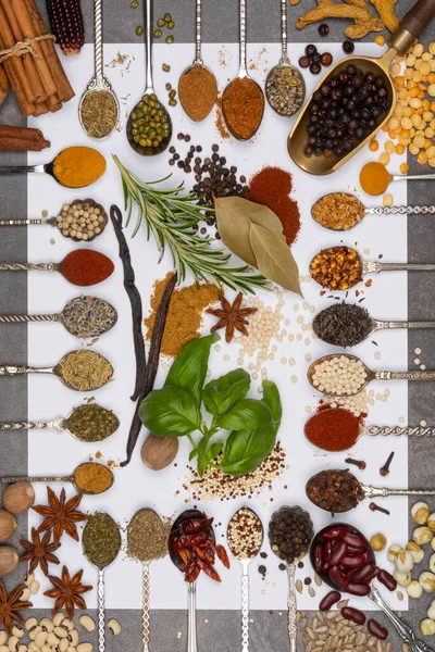 Selection Herbs Cooking Spices Spoons — Stock Photo, Image