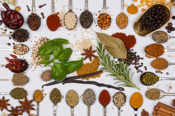 Selection Herbs Cooking Spices Spoons — Stock Photo, Image