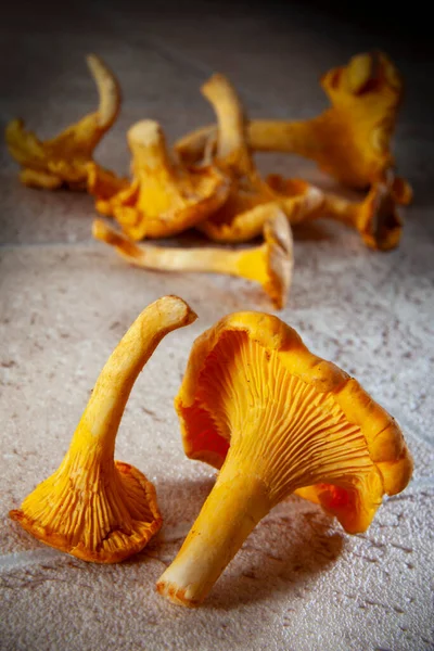 Alimentos Selección Champiñones Comestibles Chanterelle —  Fotos de Stock