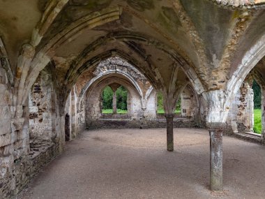Waverley Manastırı 'nın kalıntıları. İngiltere' deki ilk manastır. Winchester Piskoposu William Giffard tarafından 1128 yılında kuruldu.