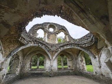 İngiltere 'nin ilk manastırı Waverley Manastırı' nın harabelerindeki kubbeli tavan. Winchester Piskoposu William Giffard tarafından 1128 yılında kuruldu. Surrey, Farnham 'ın yaklaşık 2 mil güneydoğusunda yer almaktadır..