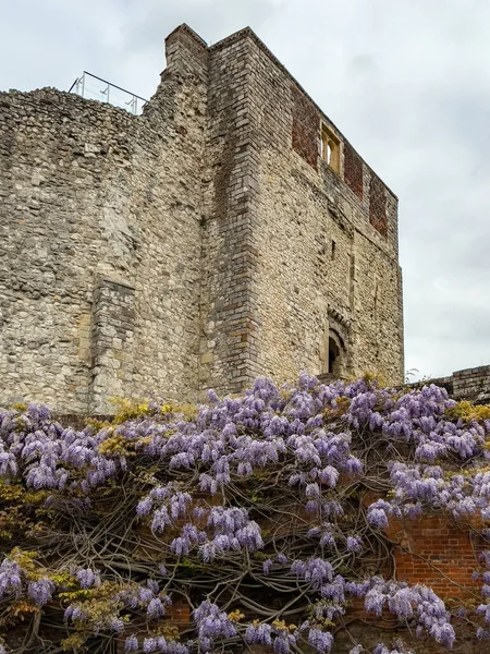 ファーナム城 イギリスのサリー州ファーナムにある12世紀の城 かつてはウィンチェスター司教の邸宅だった — ストック写真