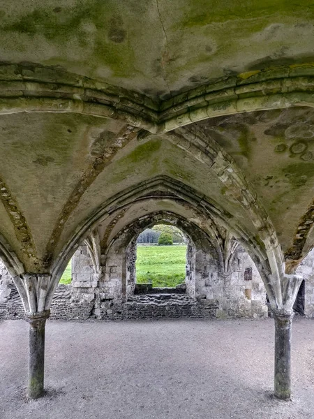 Vaulted Ceiling Ruins Waverley Abbey First Cistercian Abbey England Founded — Foto de Stock