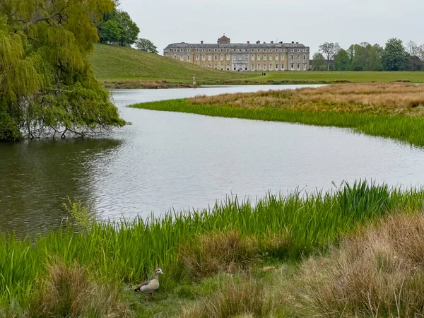 Petworth House Στο West Sussex Ηνωμένο Βασίλειο Petworth Είναι Ένα — Φωτογραφία Αρχείου