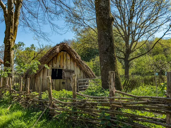 Medieval Thatched Garden Shed Weald Downland Open Air Museum West — Foto Stock