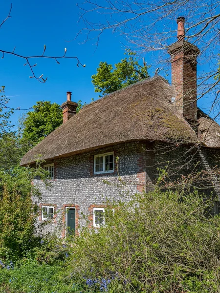 Old Thatched Cottage Very Overgrown Garden West Sussex South England — стоковое фото