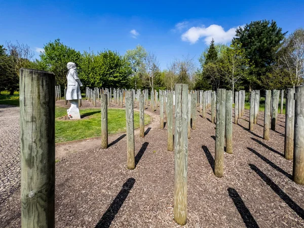 National Memorial Arboretum Shot Dawn Memorial First World War Some — Stockfoto