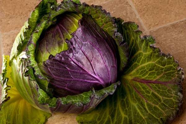 Red Cabbage Brassica Oleracea Also Known Red Kraut Blue Kraut — Stock Photo, Image