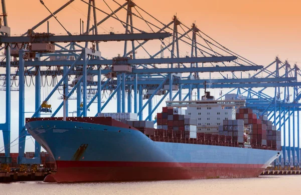 Container Ship Being Loaded Port Long Beach California Usa — Stock Photo, Image