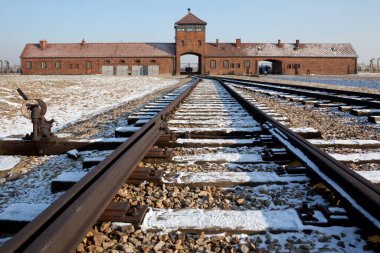 Polonya, Krakow yakınlarındaki imha kampı Auschwitz II-Birkenau 'da Naziler tarafından 3 milyona yakın insan öldürüldü (2,5 milyon kişi gazla öldürüldü, ve 500,000' i rom hastalığı ve açlıktan öldü).).