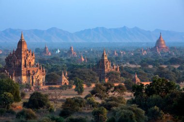 Bagan Arkeoloji bölgesinde tapınakları sabah erken güneş ışığı altında. Myanmar (Burma).
