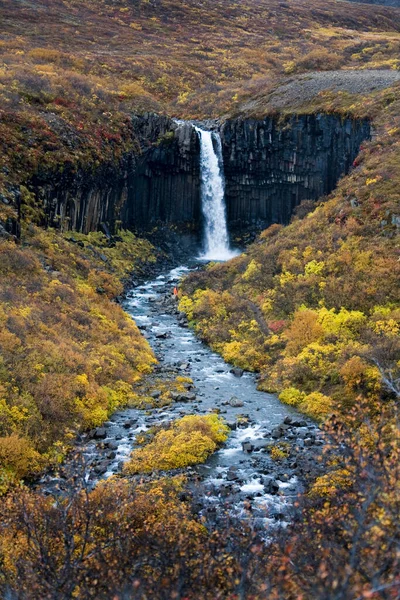 Vodopád Svartifoss Národním Parku Skaftafell Island Stock Snímky