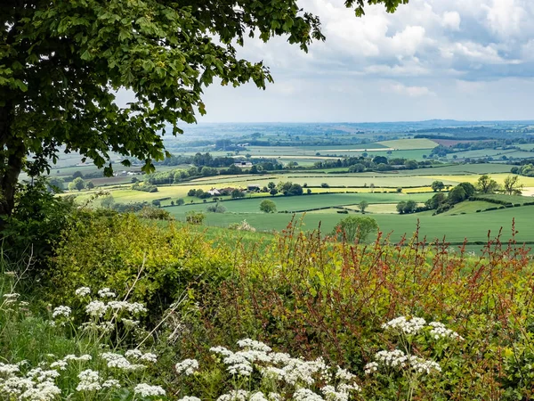 Die Landschaft Des Distrikts Ryedale North Yorkshire Vereinigten Königreich — Stockfoto