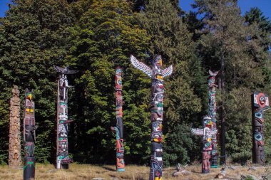 Totem Pole Stanley Park 'ta British Columbia, Kanada' da Vancouver şehrinde.