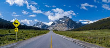 Kanada 'nın Alberta kentindeki Banff Ulusal Parkı' nda buzul tarlaları (93. Otoyol).