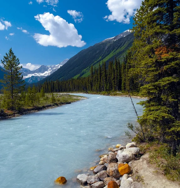 Kootenay Ulusal Parkı 'ndaki Numa Creek, British Columbia, Kanada.