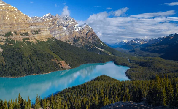 Banff Ulusal Parkı 'ndaki Peyto Gölü. Alberta, Kanada.