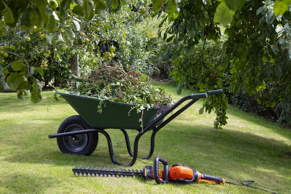 Gardening Wheelbarrow Full Hedge Cuttings Next Electric Hedge Trimmer — Fotografia de Stock